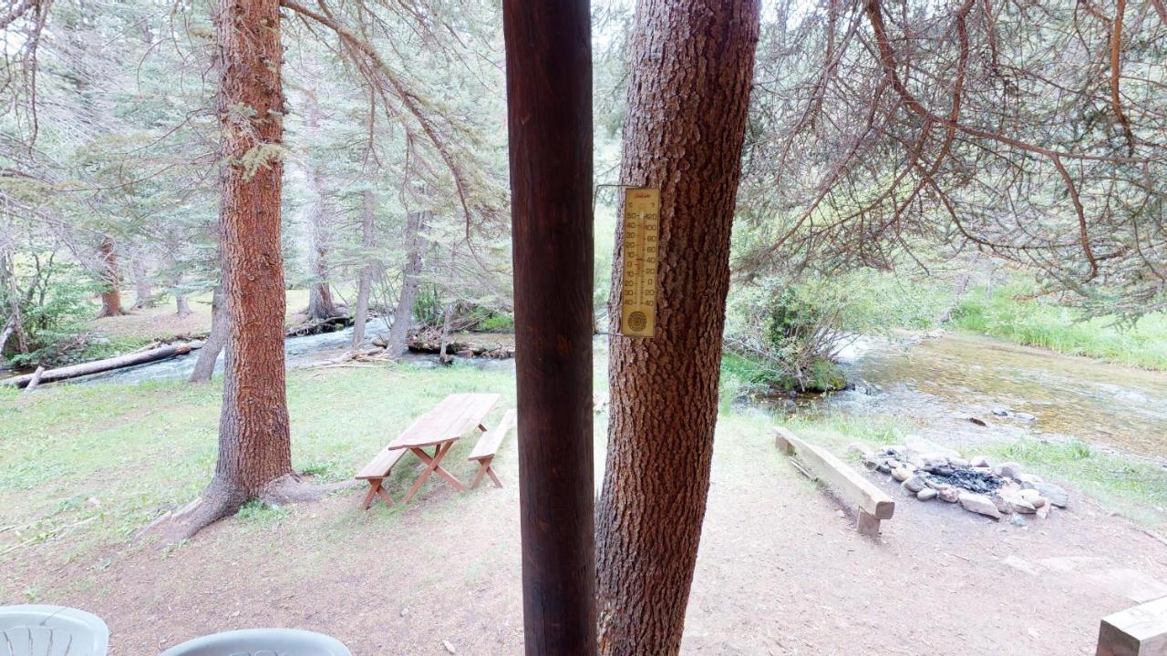 Bear Bait Cabin In Upper Valley With High Speed Wifi Red River Luaran gambar