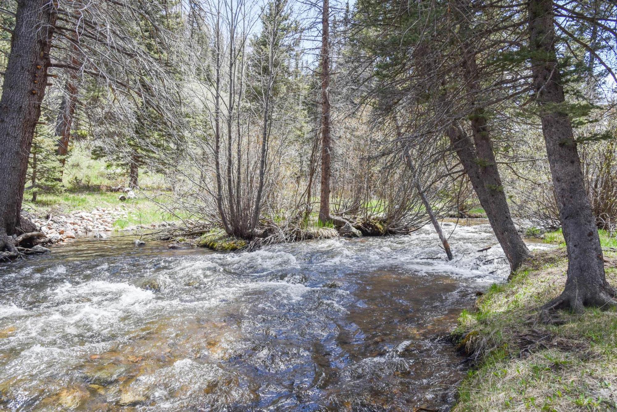 Bear Bait Cabin In Upper Valley With High Speed Wifi Red River Luaran gambar